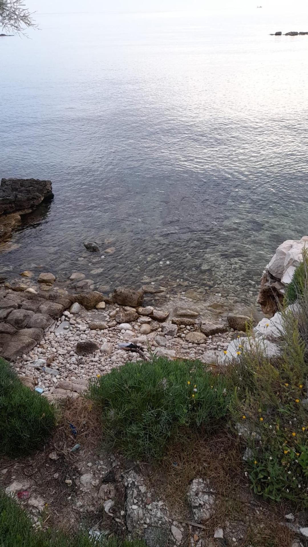 Affittacamere Il Labirinto Bisceglie Exterior photo